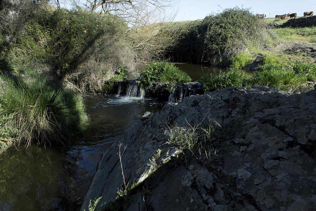 Casa Rural Ecologica Huerta Del Pirata Fuente de Cantos 外观 照片