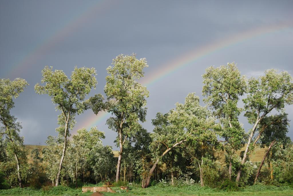 Casa Rural Ecologica Huerta Del Pirata Fuente de Cantos 外观 照片